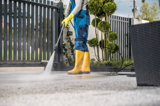 Best Dumpster Area Cleaning  in Converse, TX